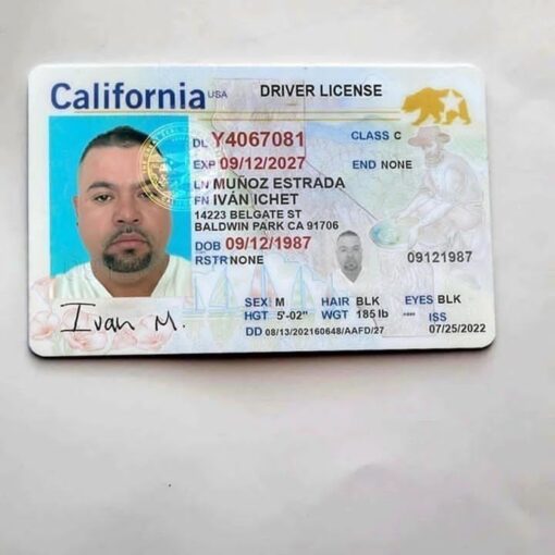 Buy Drivers License Online