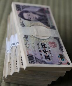 Buy Japanese Yen Counterfeit Notes